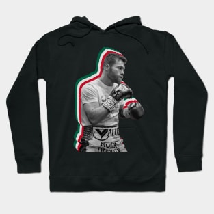 mexican pride canelo Hoodie